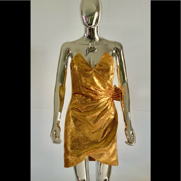 “HOST PICK” Retrofete Caroline Sequined Dress - Picture 3 of 13